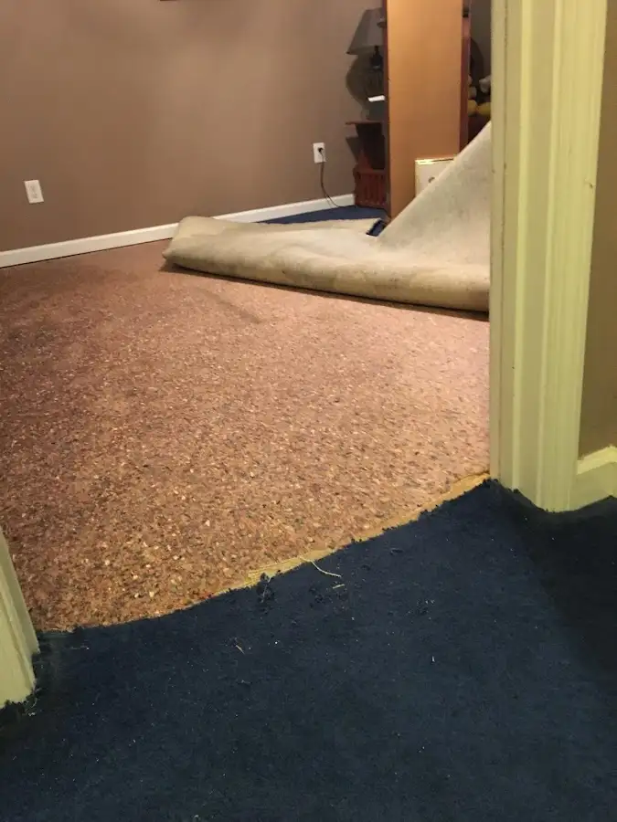 Carpet pad removal revealing water damage during Drying & Dehumidification in Charlestown